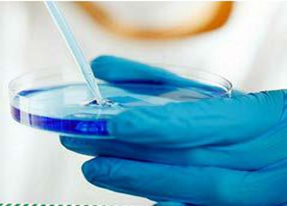 Phương pháp thử nghiệm in vitro được sử dụng trong ngành công nghiệp mỹ  phẩm ra sao? - Trung tâm dịch vụ phân tích thí nghiệm TP.HCM - Case